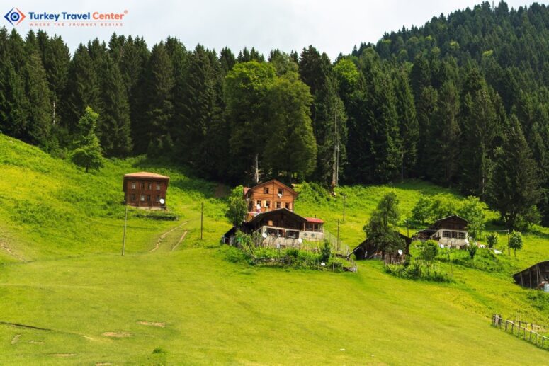 Ayder Plateau - Discovering Natural Beauty and Serenity in Turkey.