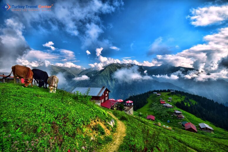 Kackar Mountains - Majestic Highland Beauty with Towering Peaks and Pokut Plateau.