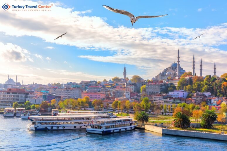 Eminonu pier and the Suleymaniye Mosque in Istanbul, Turkey